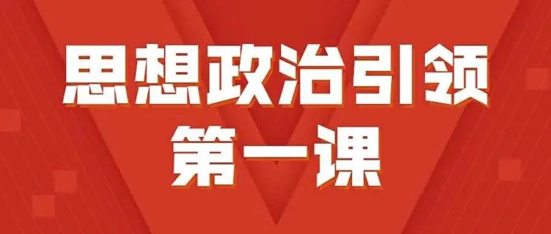 青年志愿者在公益事业中的璀璨光芒
